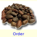 Order Pinon Here