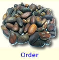 Order In Shell Pine Nuts