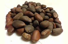 Pinon Nuts